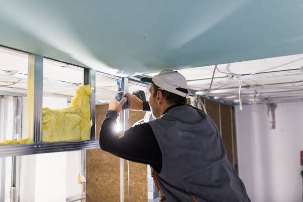 Best Insulation for New Construction  in South Plainfield, NJ