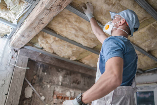 Best Insulation for Existing Homes  in South Plainfield, NJ