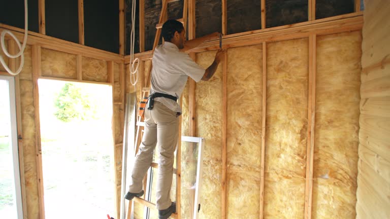 Best Vapor Barrier Installation  in South Plainfield, NJ