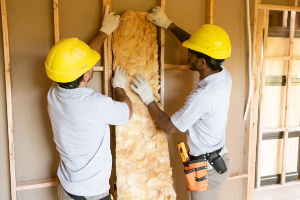 Best Attic Insulation Installation  in South Plainfield, NJ