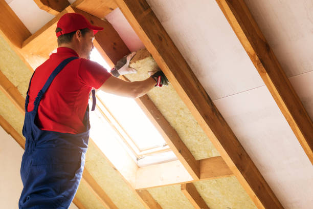 Best Insulation Air Sealing  in South Plainfield, NJ